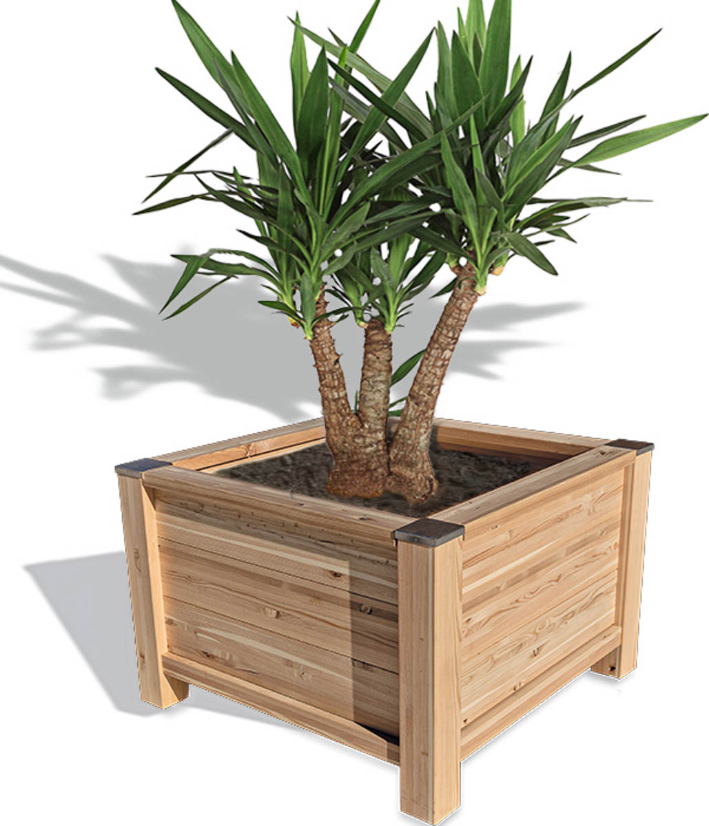 Pflanztrog EasyGastro  Pflanztrog EasyGastro